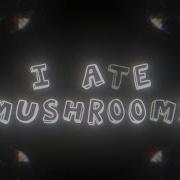 I Ate Mushrooms For After Effects Aescripts Aeplugins