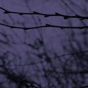 Ben Cocks So Cold Slowed