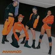 Mamamoo Shampoo