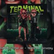 Terminal Инстасамка Минус