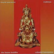 Maitreya David Parsons