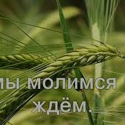 Дух Святой Сойди Дождём Дай Свободу Птице Христианское Караоке