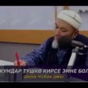 Маркумдар Туш Корсо Эмне Болот