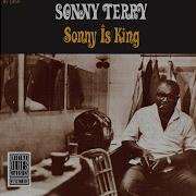 One Monkey Dont Stop The Show Sonny Terry