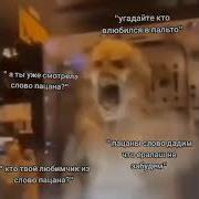 Меме Надоело