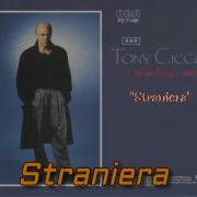 Tony Cicco Straniera