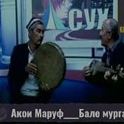 Маруф Сух Мургак