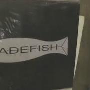 Bladefish