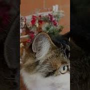 Танюха Мне Скучно Я Иду