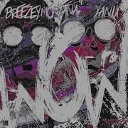 Breezey Montana Wow Feat Yanix