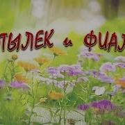Мотылек И Фиалка Мотылька Умоляет Лесная Фиалка