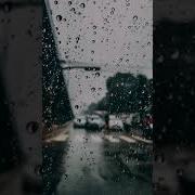 Выпить И Забыть