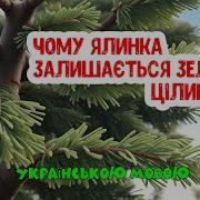 Пісні Про Ялинку Для Дітей