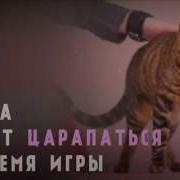 И Кусайся И Царапайся