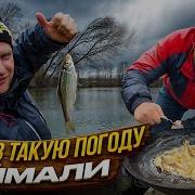 Делай Все На Раз Два