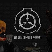 Scp It This Your Last Warning