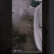 Да Мне Похуй Саншайн