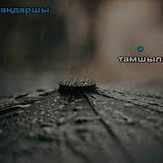 Караоке Тамшылар