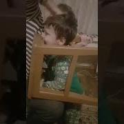 Я Смешной Небритый Папа