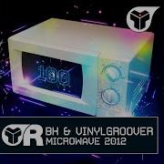 Vinylgroover Microwave 2012 Remix