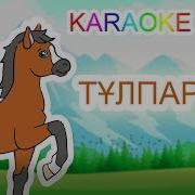 Бота Бейсенова Тұлпарым Минус Скачать