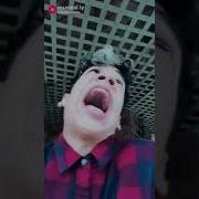 Пародия Майя Хи Майя Ха Майя Ха Ха