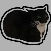 Кот Максвелл Скачать