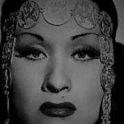 Ymac Sumac Gopher Mambo