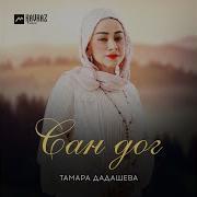 Тамара Дадашева Сан Дог