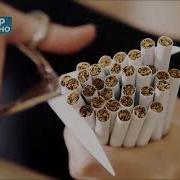 Тамеки Жөнүндө Кызыктуу Фактылар