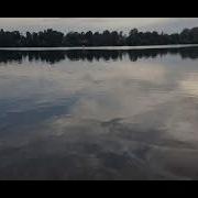 Кобил Кори Янги Марузалари 2021