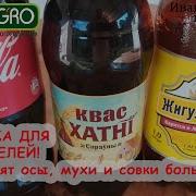 Добрый Совик