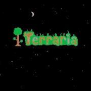 Terraria Space