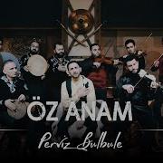 Perviz Bulbule Anam