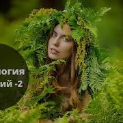 Магия Камня Травник Цикл 6