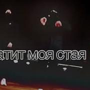 Пацаны Мутили Мутили Мутки Катит Моя Стая