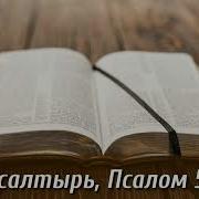 День 56 Библия За Год С Митропалитом Илларионом