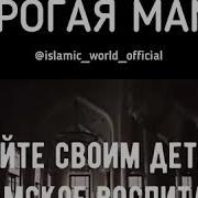 Дорогой Папа Дорогая Мама
