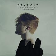 Anachronism Instrumental Version Crywolf