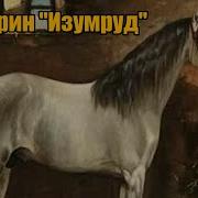 Куприн Изумруд Аудиокнига