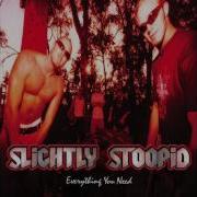 Questionable Slightly Stoopid