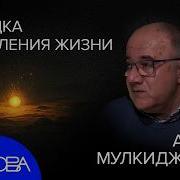 Жизнь Так Коротка