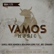 Benjamin Leung Doves Feat Joel Edwards Coqui Selection Remix