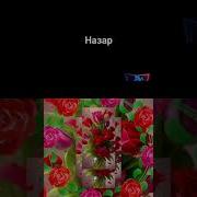 Кучои Модари Чон