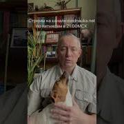 Настрои Сытина Мозговое И Коронарное Кровообращение