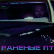 Раненые Птицы