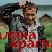 Александр Михайлов Калина Красная Скачать
