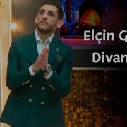 Elcin Goycayli Ditandi