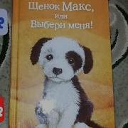 Щенок Макс Или Выбери Меня