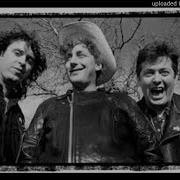 The Three Johns John Peel Session 1982
